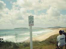 Minutes away from Ninety Mile Beach, Henderson Bay is the perfect place for a picnic, or stay for a day or two at one of the family-owned lodges. 