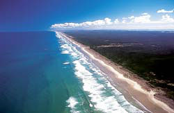 Take a drive down 90 mile beach - remember to obey the road rules! 