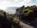 Seacliffs 